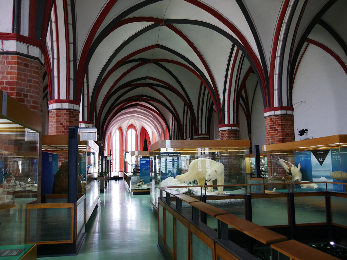 Meeresaquarium Stralsund