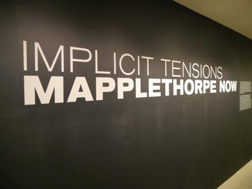 Robert Mapplethorpe Ausstellung